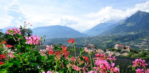 Schenna House | Pension Laurin