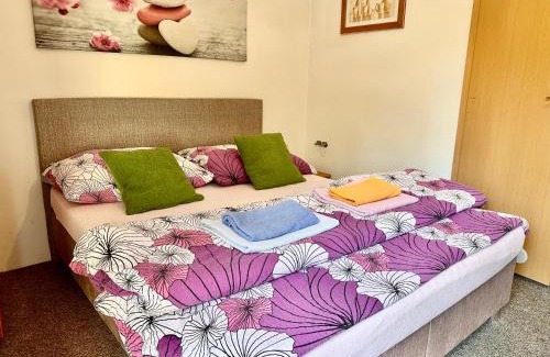 Harrachov House | Pension Lenka 1
