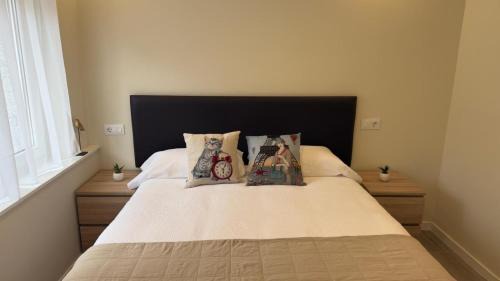 Lugo House | Pension Lugo FINGOI