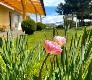 Sankt Kanzian am Klopeiner See House | Pension Miklautz