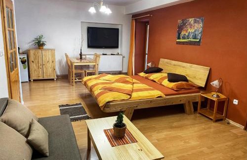 Horni Plana House | Pension U Kohoutů