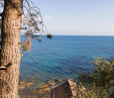 Marina di Casal Velino Hotel | Pensione Zio Attilio