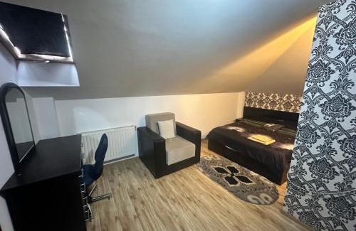 Craiova House | Pensiunea Artemis