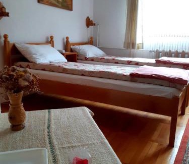 Sfantu Gheorghe House | PENSIUNEA BORDÁS PANZIÓ