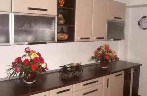 Vadu Motilor Cabin | Pensiunea Cabana Viselor ,Apuseni