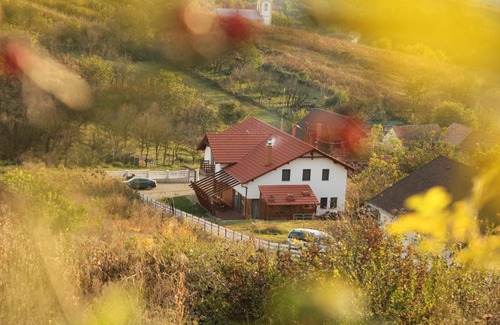 Ciugud House | Pensiunea Casa din Vii