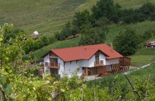 Ciugud House | Pensiunea Casa din Vii