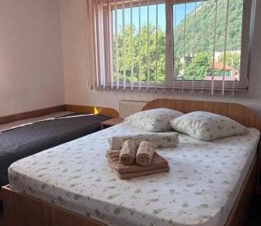 Deva House | Pensiunea Floare de Colt