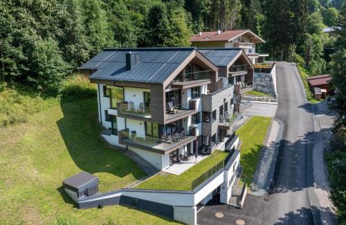 Viehhofen House | Penthouse Schmittenblick Top 4