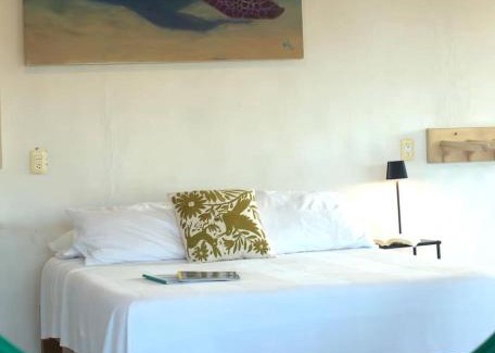 Emiliano Zapata Apartment | Penthouse - SolSurf House Mita