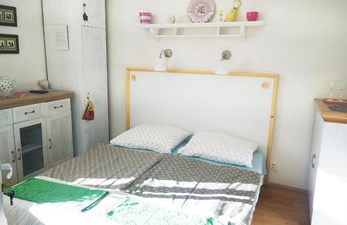 Nova Lesna House | Penzión Belvia