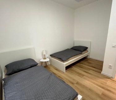 Zatec Apartment | Penzion Fortuna Žatec