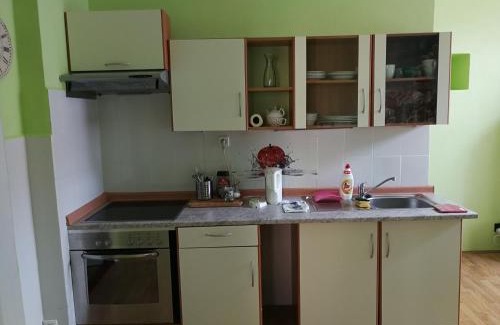 Marianske Lazne House | Penzion Libertas Mariánské Lázně