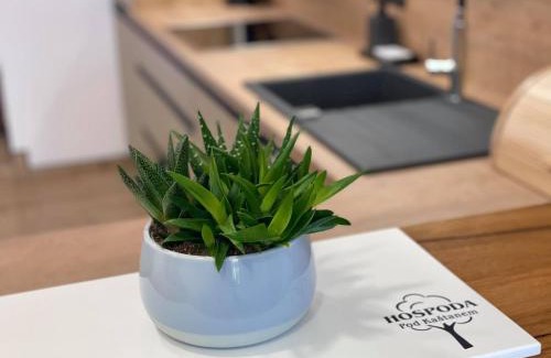 Nedakonice Hotel | Penzion Pod Kaštanem
