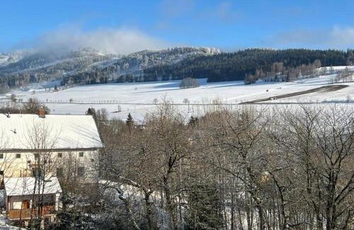 Dolni Morava House | Penzion pod Vlekem Dolní Morava