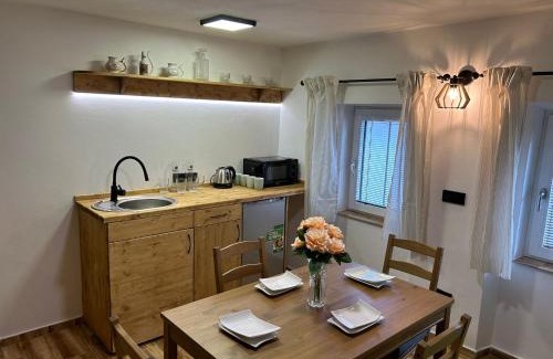 Vyssi Brod Apartment | Penzion s rafty