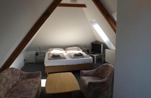 Velke Hamry House | Penzion Signum Laudis