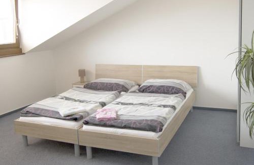 Zabreh House | Penzion Tučňák