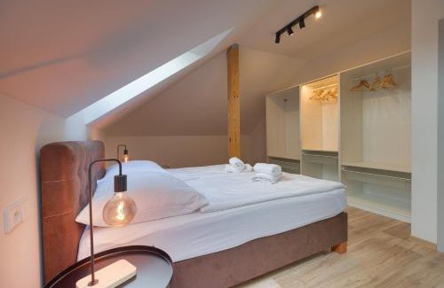 Caslav Apartment | Penzion U Horských