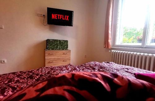 Trebon House | Penzion U Juráše