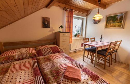 Cervena Voda House | Penzion u Vichu