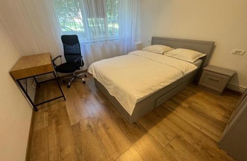 Craiova Apartment | Peony Apartament