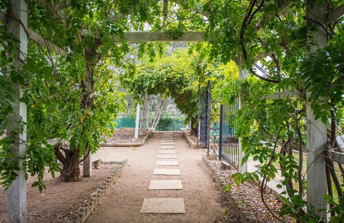 Scone House | Perfect Location for Leisure or Business - Right in the main street