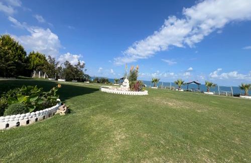 Sinop Apartment | Perice Konak orta kat