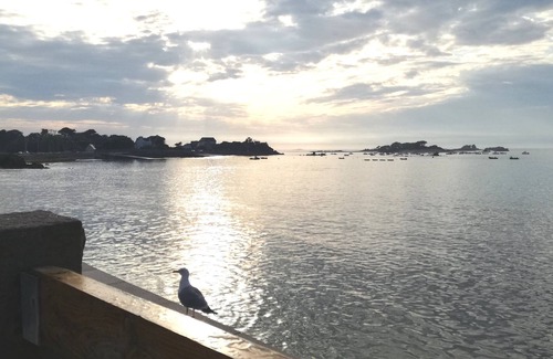 Penvenan Apartment | Perros Guirec, Bréhat, in PortBlanc,3P + garage,70m2, Wifi, EXCEPTIONAL Sea View