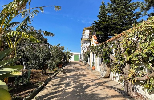 Barrio Nuevo House | Pet-Friendly Apartment “Finca la Tacita Petunia” with Pool & Wi-Fi