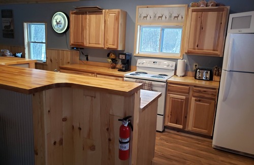 Petoskey Cabin | Petoskey - cozy, peaceful cabin in the woods. Close to trails and lakes!