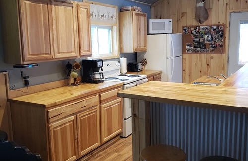 Petoskey Cabin | Petoskey - cozy, peaceful cabin in the woods. Close to trails and lakes!