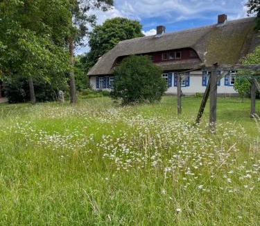Muritz Apartment | Pfarrhaus Tollensesee