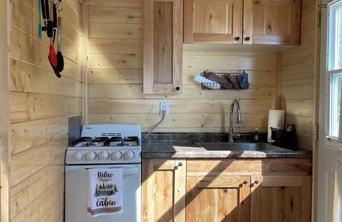 Phelps Cabin | Phelps Hillside Resort Cabin #2