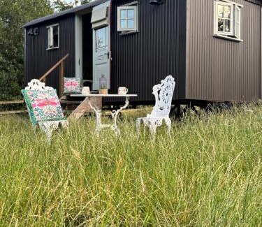 Castle Donington Other | PIGLET adult only shepherds hut