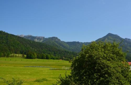 Schleching Apartment | Pilzhof