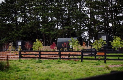 Glenquarry House | Pine Forest Luxury Tiny Cabins