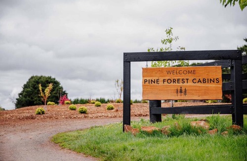 Glenquarry House | Pine Forest Luxury Tiny Cabins