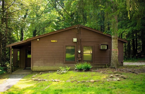 Bainbridge Cabin | Pine Lake Trout Club Cabin #1!