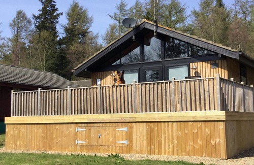 Hallington Cabin | Pine Tree - 3 bedroom, 2 bathroom, Secluded Hot tub and Pet friendly