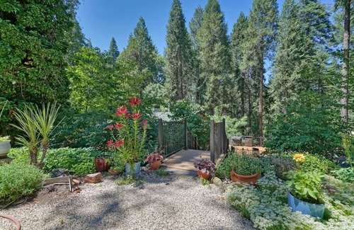 Apple Hill House | Pine View Paradise, Apple Hill Orchards/Wineries, All of Oct. Mon-Thurs 123/nite