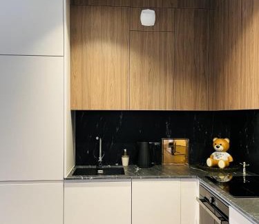 Gdansk City Center Apartment | PIPER centrum SCALA