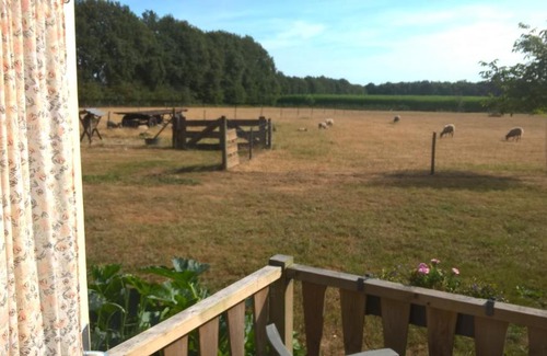 Onstwedde Bed & Breakfast | Pipowagen Lidewei Groningen Westerwolde unieke ligging met eigen tuin en vrij uitzicht over veld naar natuurgebied