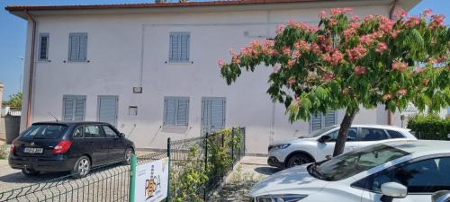 Pisa House | Pisa Town 2