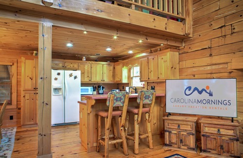 Arden Cabin | Pisgah Pines | Cozy Log Cabin w/Hot Tub & Fire Pit Near Asheville Airport