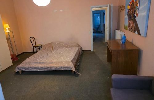 Pisa City Centre Apartment | Pita