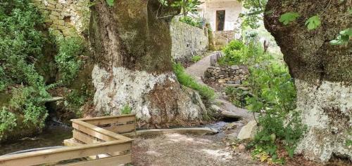 Meskla Villa | Platanus House