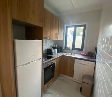 Ilhavo Apartment | Plaza House Ílhavo