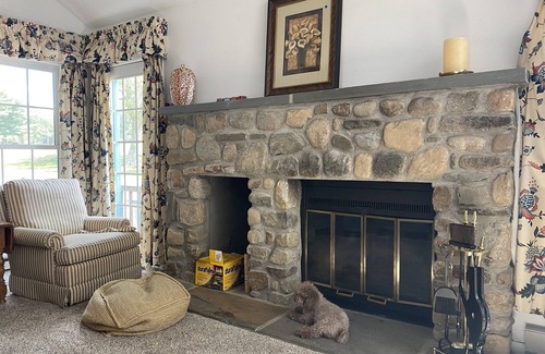 Canadensis Cottage | Poconos townhouse w/fire place, gameroom & deck (sleeps up to 16 &Pet-friendly)