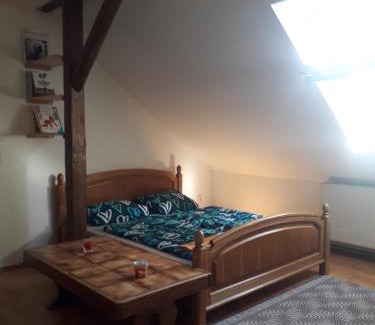 Olomouc Apartment | Podkrovní apartmán